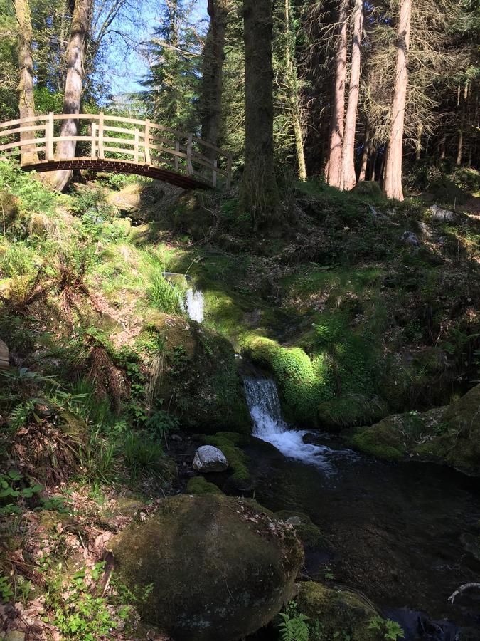 Загородные дома Ballyteige Lodge Ballyteige Bridge-35